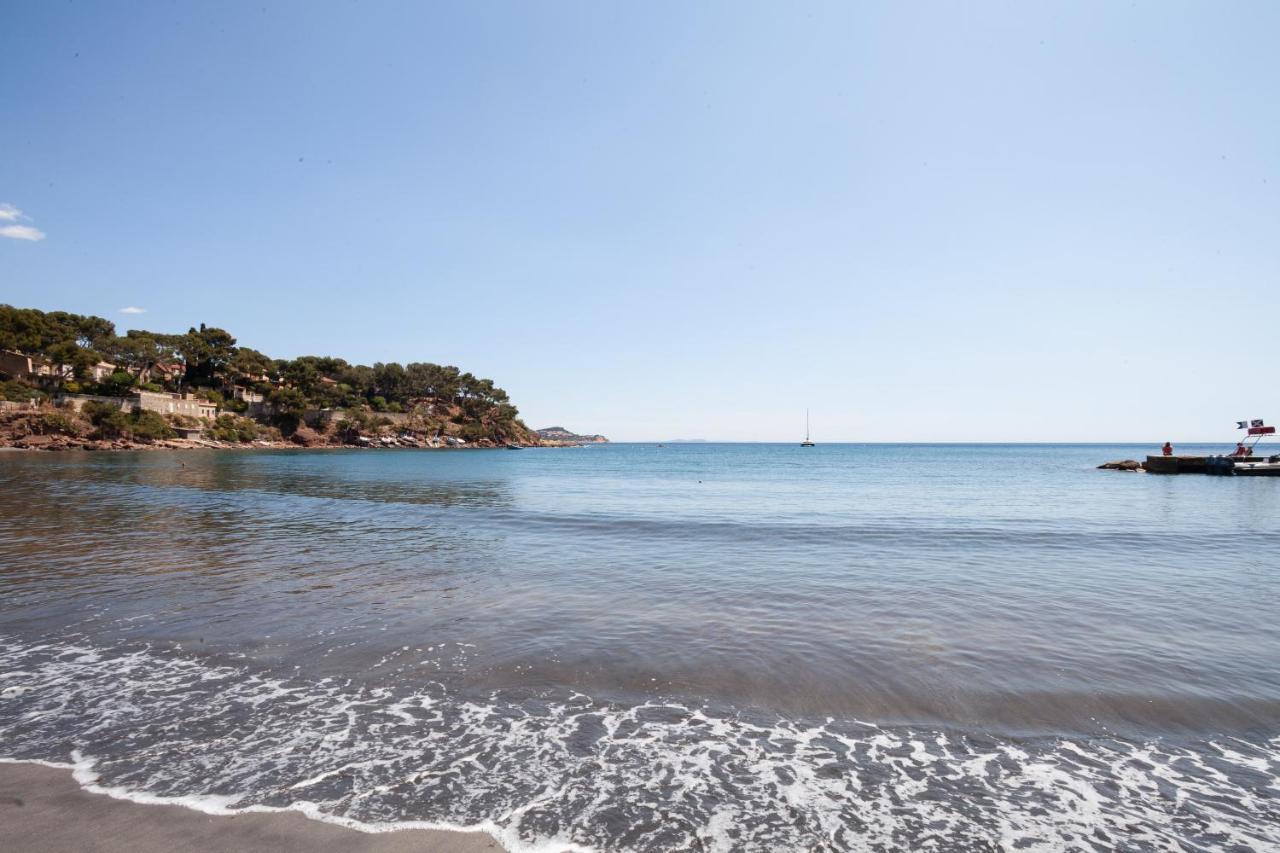 T2 - La Seyne Sur Mer - Fabregas Bagian luar foto