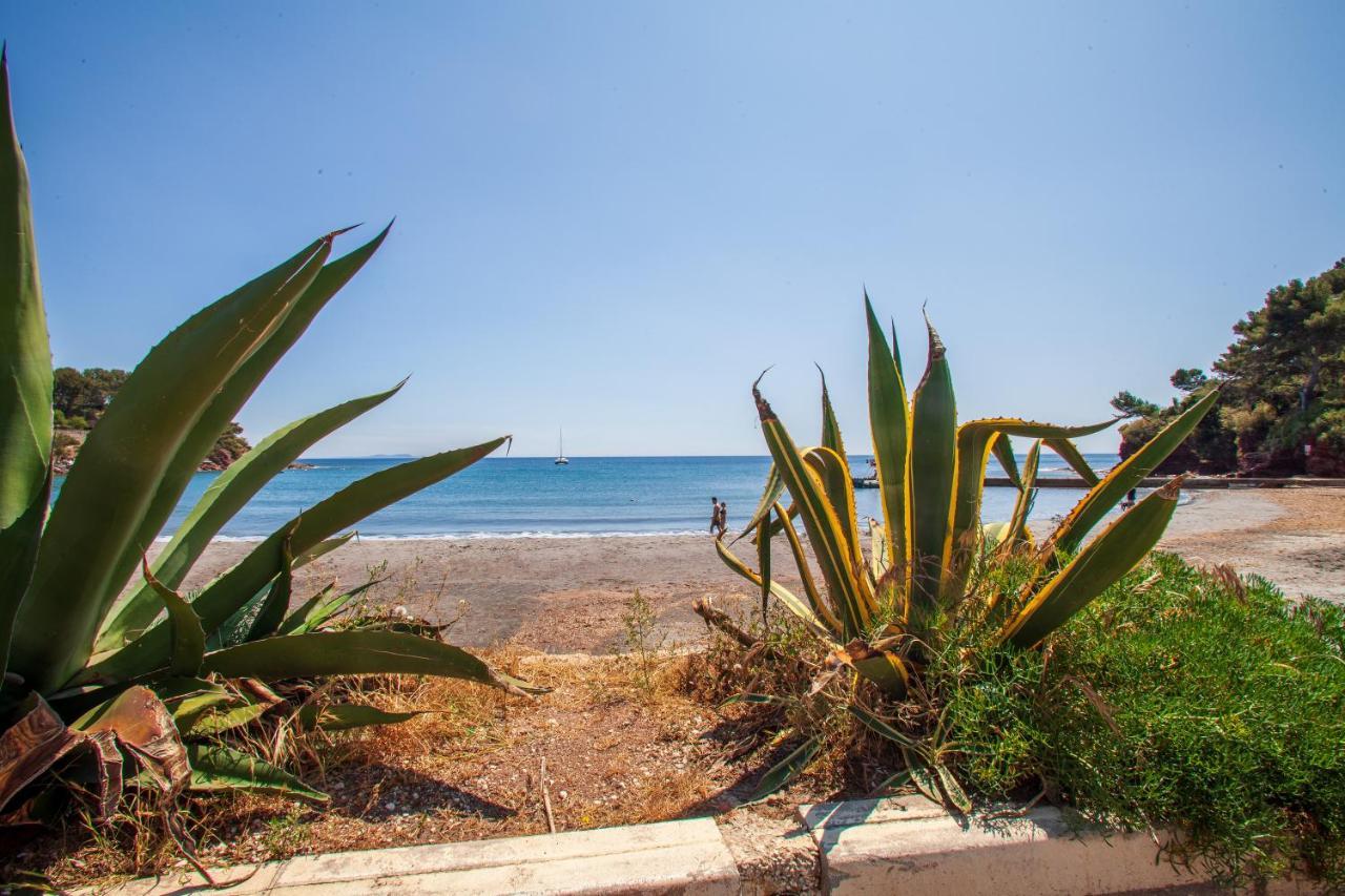 T2 - La Seyne Sur Mer - Fabregas Bagian luar foto